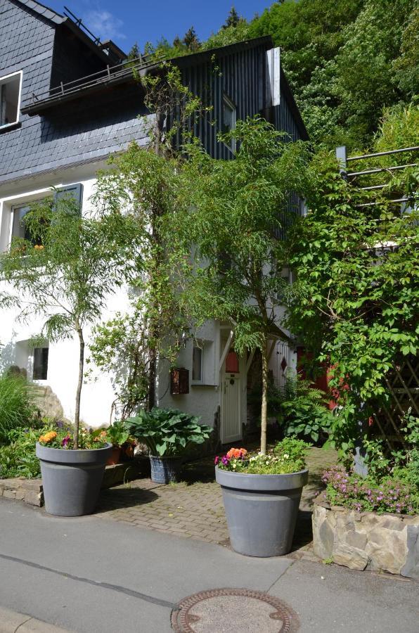 Birgits Landhaus Willingen Виллинген Экстерьер фото